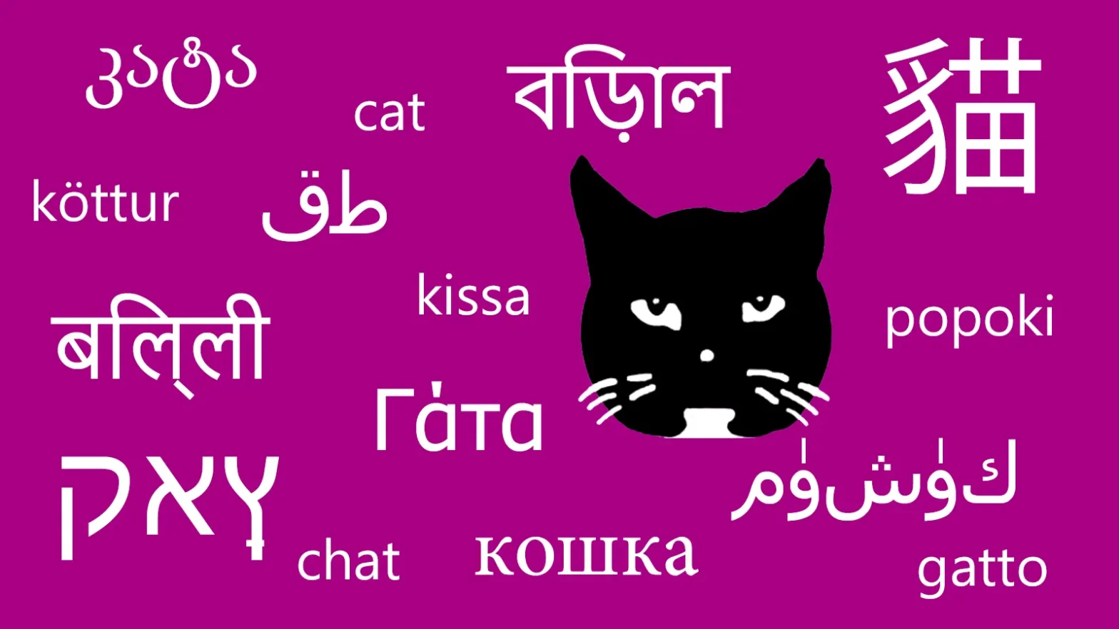Wie heißt Katze auf Chinesisch? Luzi inmitten diverser Schriftzeichen und Sprachen