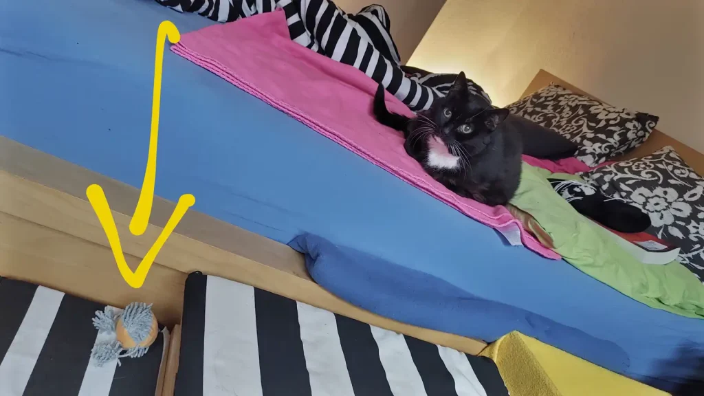Katze Luzi auf Bett nach Spiel mit der Fiepsemaus. (Erfahrungen Cortison)